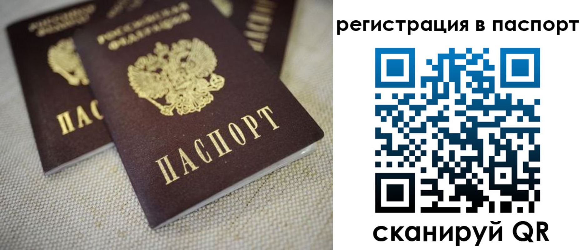 прописка гарантия в Вязьме